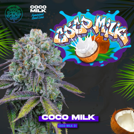 Coco Milk S1