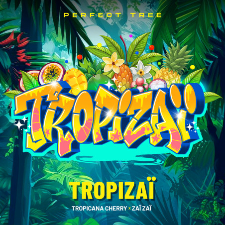 Semi regolari di Tropizaï x12.